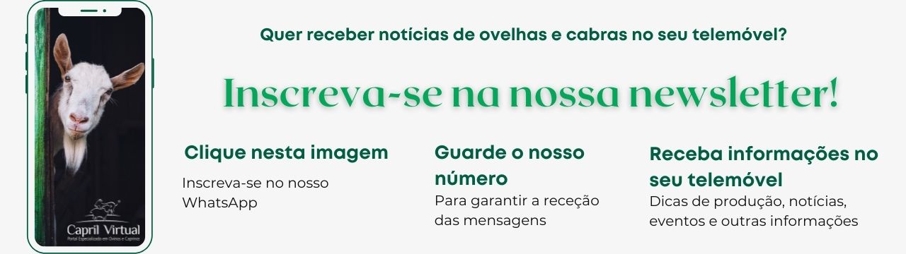 Receba por WhatsApp as novidades do Portal Capril Virtual - Especializado em Ovinos e Caprinos