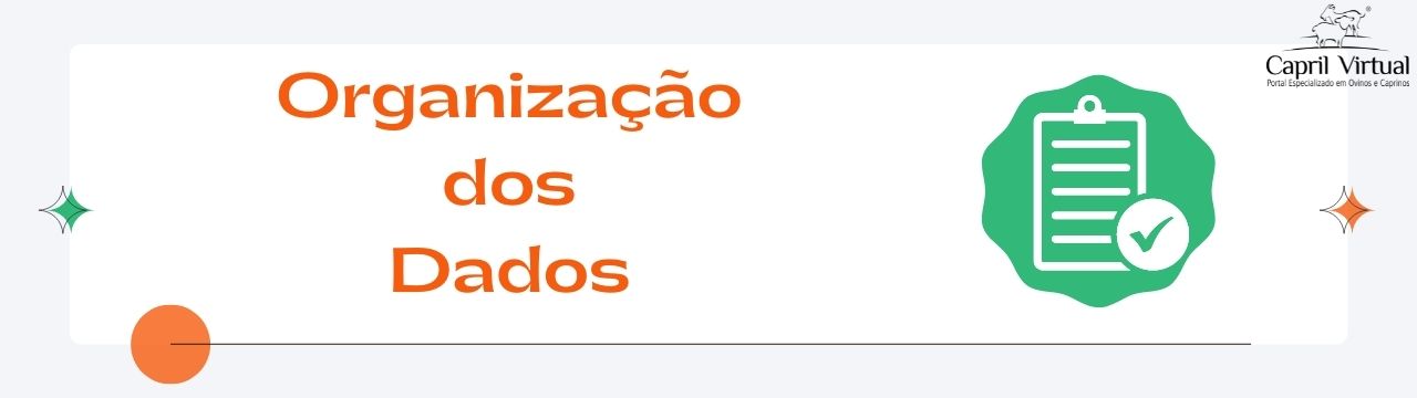 Organização dos Dados