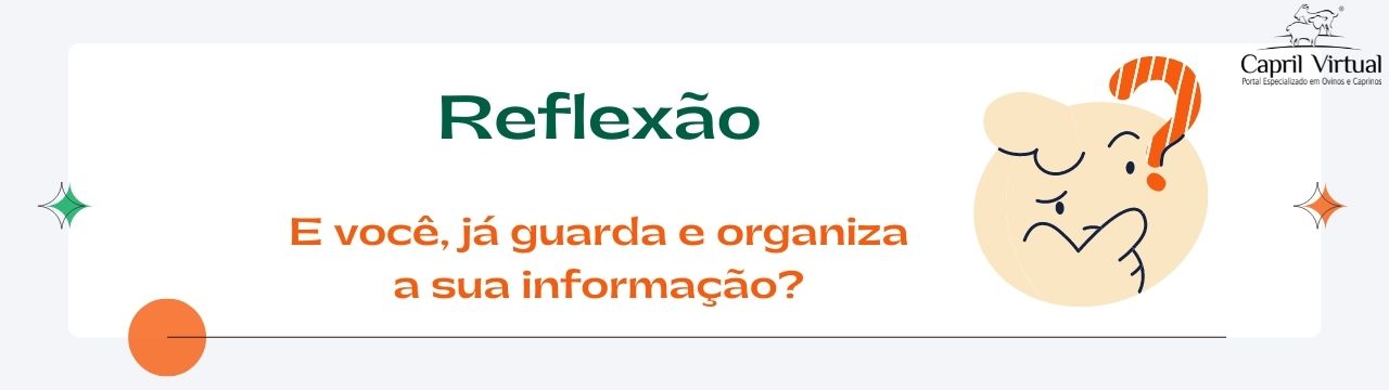 E você, já guarda e organiza a sua informação?