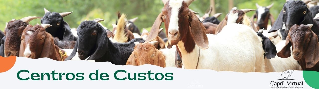 Centros de custo